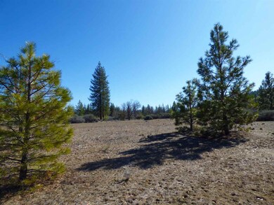 0 N Kidder Creek Rd unit 20200359, Greenview, CA 96037 - photo 4