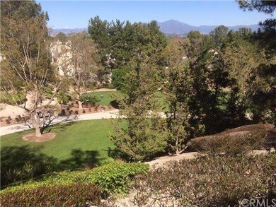 View from backyard