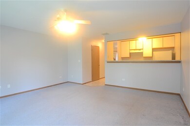 1844 Grove Ave unit 18A184, Schaumburg, IL 60193 - photo 4