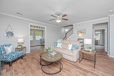 493NelliefieldTrail0009