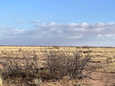 Bahia Rd, Deming, NM 88030 - photo 5