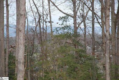 0 Foot Hills Rd unit Parcel A & B, Greenville, SC 29617 - photo 5