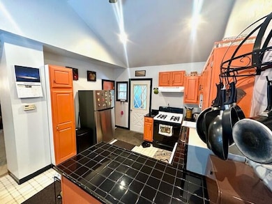 33 Trudeau Rd, Saranac Lake, NY 12983 - photo 4