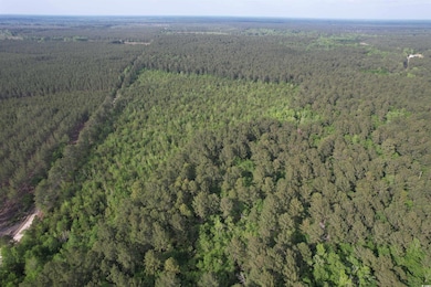 Bird's eye view with a wooded view