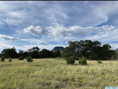 19 Coyote Trail unit 181, Datil, NM 87821 - photo 6