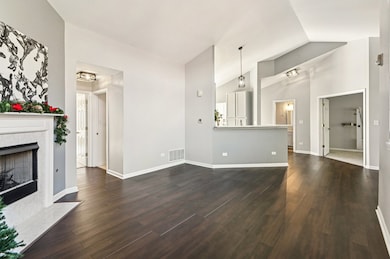 2227 Waterleaf Ct unit 203, Naperville, IL 60564 - photo 5