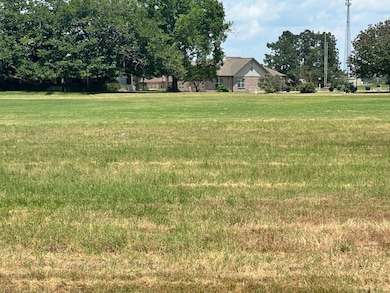 View of green lawn