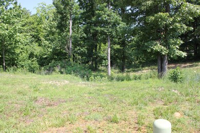 Lot 19