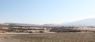 IMG_8676