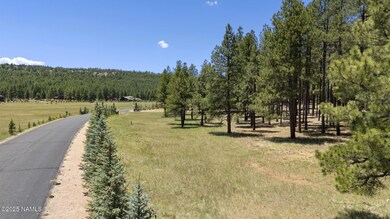 Lot 14 on the Right