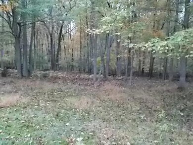 138 Diane Ln, Canadensis, PA 18325 - photo 6