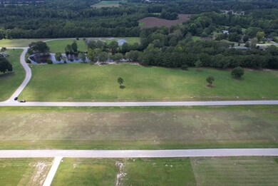 1441 Bojo Cir unit Lot 29, Manning, SC 29102 - photo 5