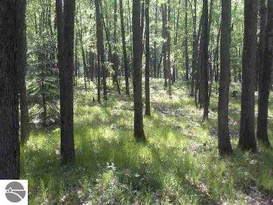 5627 W M 76, West Branch, MI 48661 - photo 4