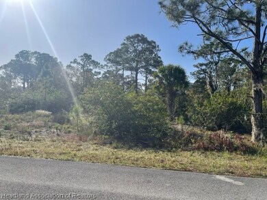 239 Jack Weisser Blvd, Lake Placid, FL 33852 - photo 6