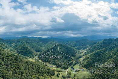 000 Silvers Gap Rd, Burnsville, NC 28714 - photo 2