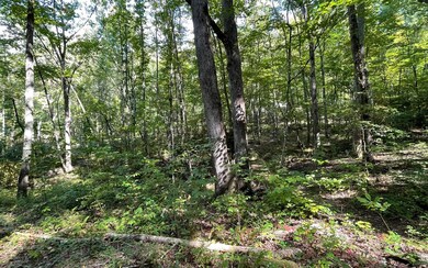 Additional View