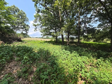 000 Highway 181, Cabool, MO 65689 - photo 7