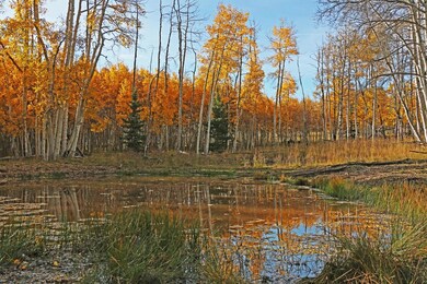 4 GSR H49A8035 Fall Pond