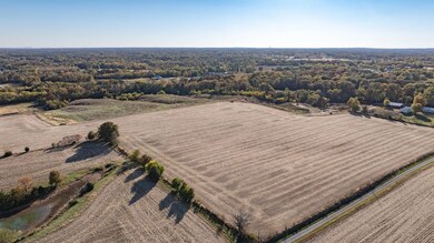 Tbd County Line Rd, Brighton, IL 62012 - photo 5