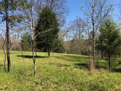 Food plot.