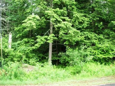 0 Gristmill Hill Rd, Canaan, NH 03741 - photo 2