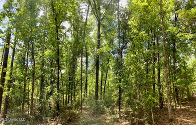 1 Basin Refuge Rd, Lucedale, MS 39452 - photo 7