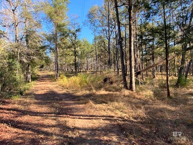 10 Drinkard Rd, Bay Minette, AL 36507 - photo 3