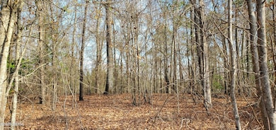 Pic1