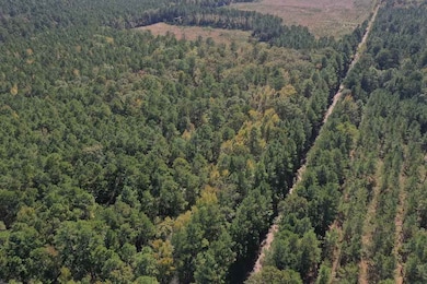 Tinsman, Tinsman, AR 71631 - photo 2