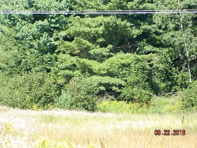 0 W Main St unit 1500008, Webster, WI 54893 - photo 5