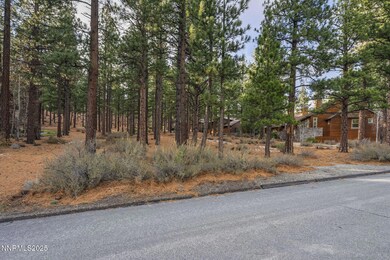 1385 Austrian Pine Rd, Reno, NV 89511 - photo 4