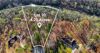 Aerial view of a forest