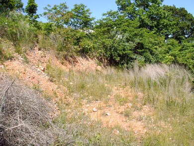 Tbd Johnson Way Ln, Kimberling City, MO 65686 - photo 3