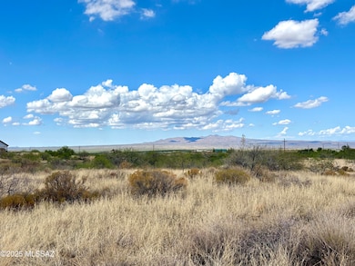 2.5 Acres W Linda Vista Rd, Oracle, AZ 85623 - photo 3