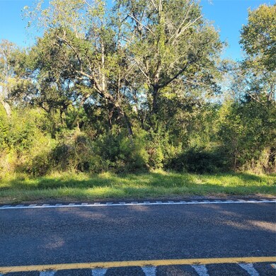 000 Farm To Market 562, Anahuac, TX 77514 - photo 6