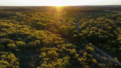 11457 Cr 187, Cisco, TX 76437 - photo 2