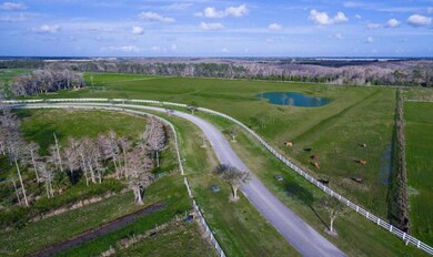 trailside aerial 6
