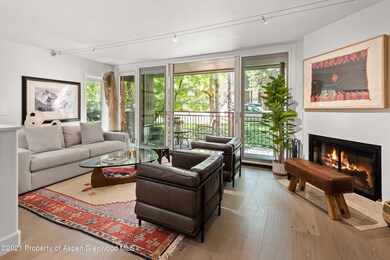 800 E Hopkins Ave unit A4, Aspen, CO 81611 - photo 2