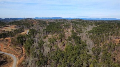 LT 108 Blalock Mountain Rd, Talking Rock, GA 30175 - photo 3