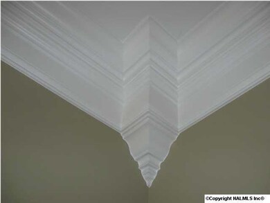 Crown block molding.
