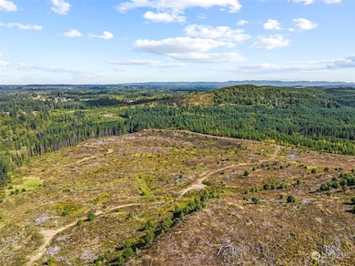 0 Salmon Creek Rd unit NWM2156058, Toledo, WA 98591 - photo 3