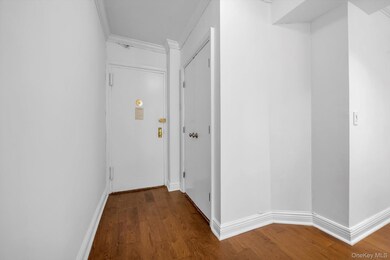 Hudson Manor Terrace unit 1DW, Bronx, NY 10463 - photo 5