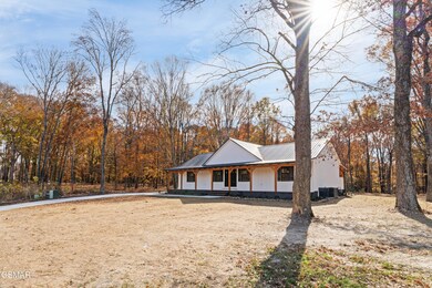 231 Sunset Blvd, White Pine, TN 37890 - photo 5