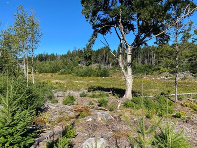 Open Land
