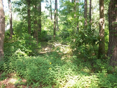 43 Shady Ln, Jackson, GA 30233 - photo 6