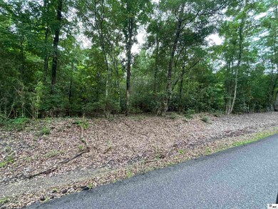 00 Kelley Rd, Quitman, LA 71268 - photo 5