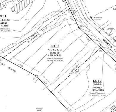 ZOOM OF M201 L 204 ON SURVEY