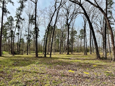 3.48 Roberts Ln, Diboll, TX 75941 - photo 5