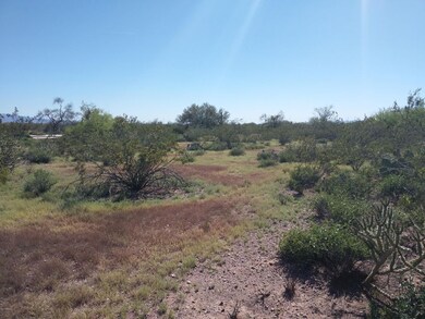 IMAG0105