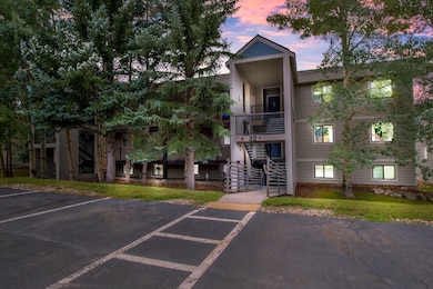 32 Corinthian Cir unit 302, Dillon, CO 80435 - photo 7